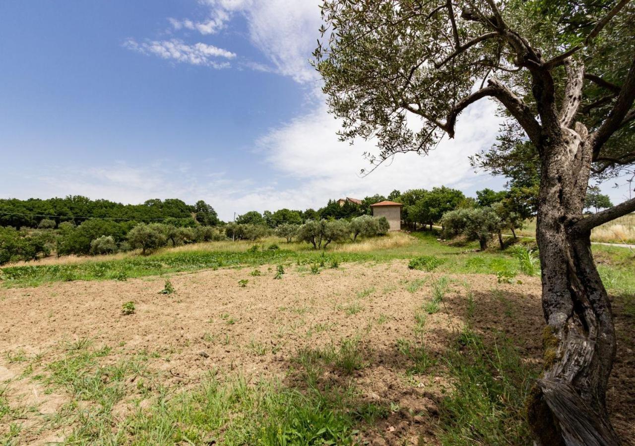 Agriturismo La Vammora Laviano 外观 照片